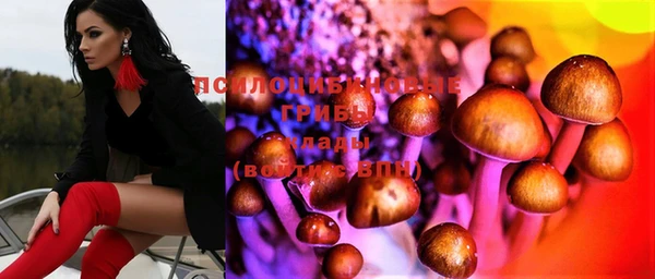 эйфоретик Алексин