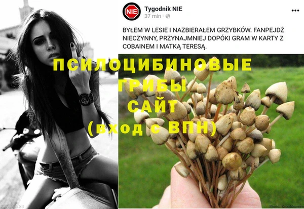 шишки Покровск